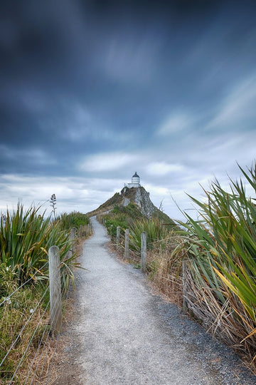Nugget Point, Catlins, New Zealand - 1