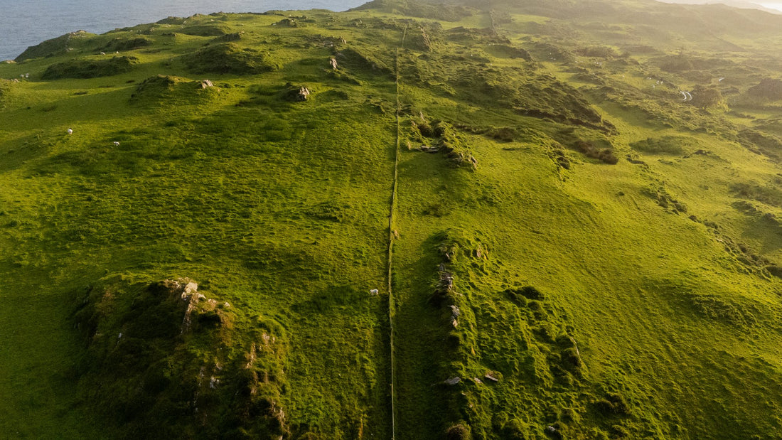 Golden Hour  Magic - West Cork - Ireland - 1