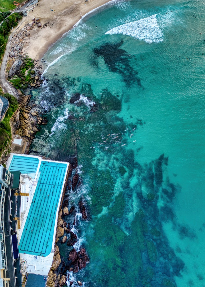 Bondi Icebergs Ocean Swimmers - 1