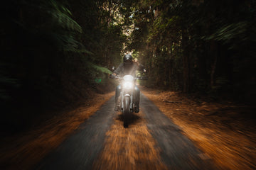 Gliding Through Springbrook NP - 1