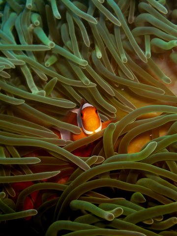 Underwater Standoff - 1