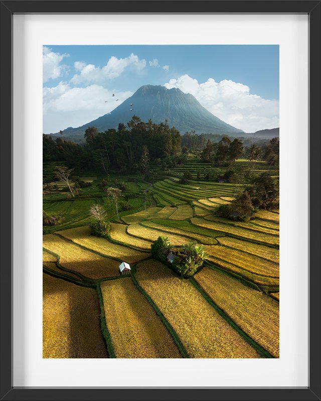 Sidemen Rice Fields, Bali - 2