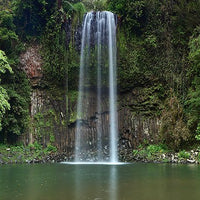 Millaa Millaa Falls - 1