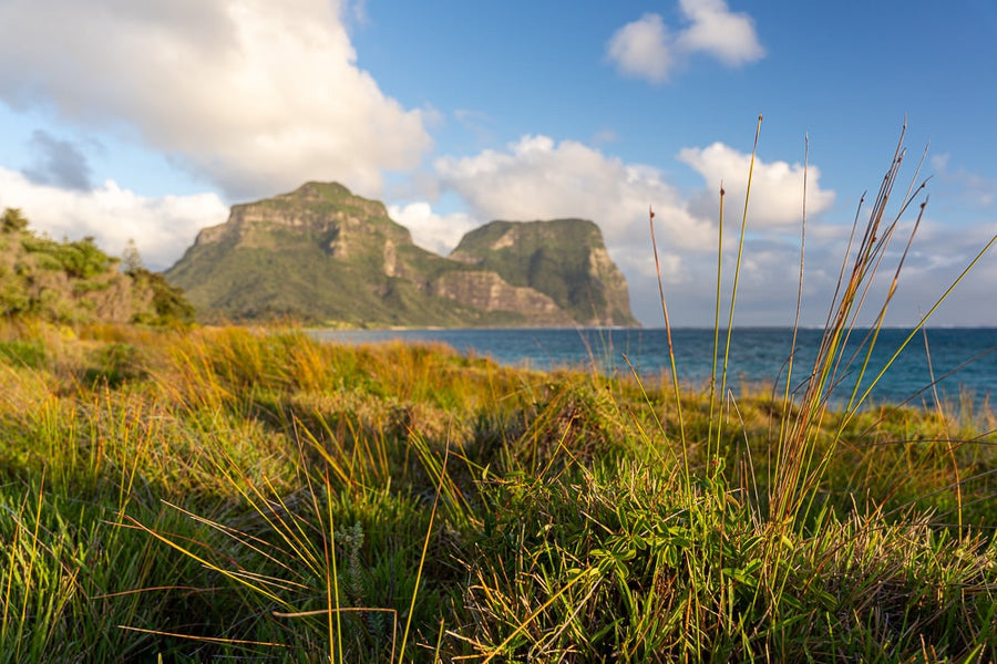 Lord Howe Island - 1