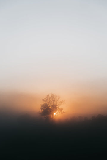 Early Fog at Grafton, NSW - 1