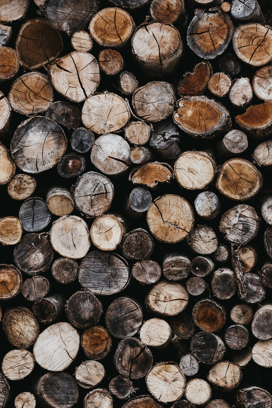 Stacked Firewood in Nagano, Japan - 1