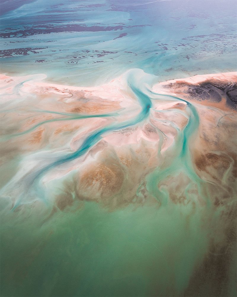 The Water Tree of Shark Bay - 1