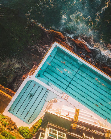 Bondi Icebergs - 1