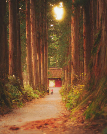 Togakushi Shrine - 1