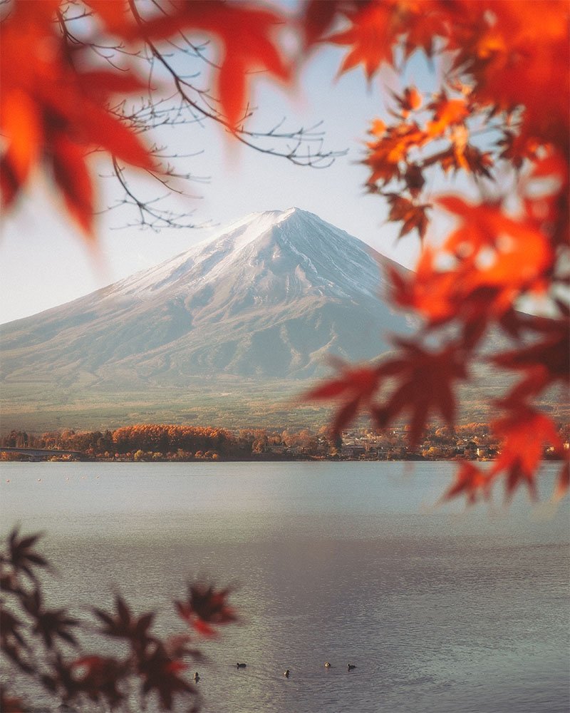 Autumn Fujisan - 1