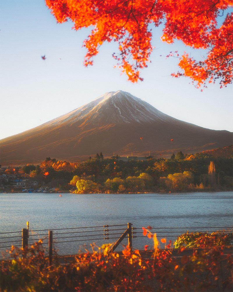 Fallen Leaves on Fujisan - 1