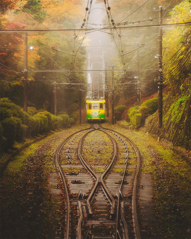 Mount Takao Autumn Train - 1