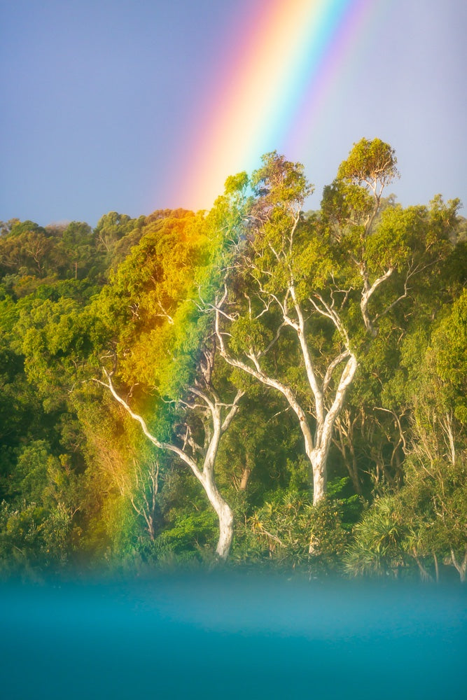 Noosa Rainbow - 1