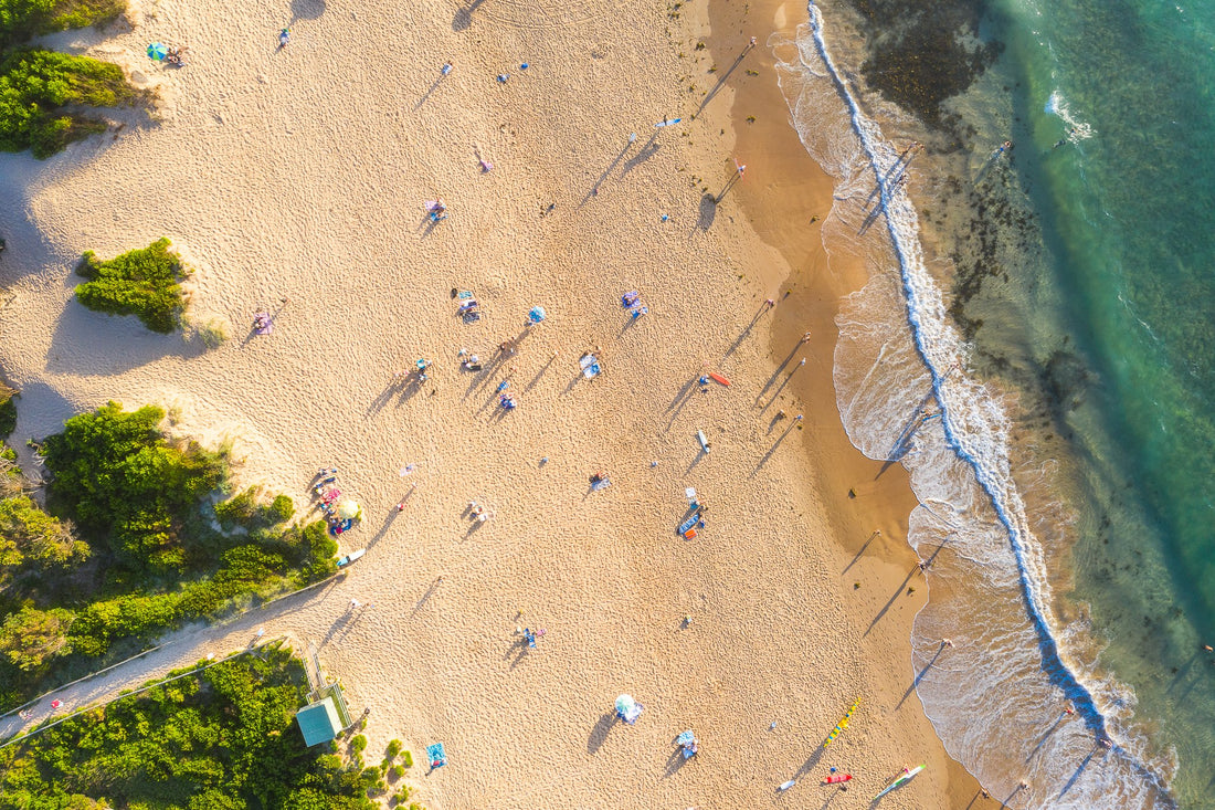 Freshwater Beach, Drone from Above - 1