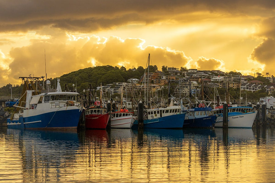 Fleet - Coffs Marina, Coffs Harbour NSW - 1