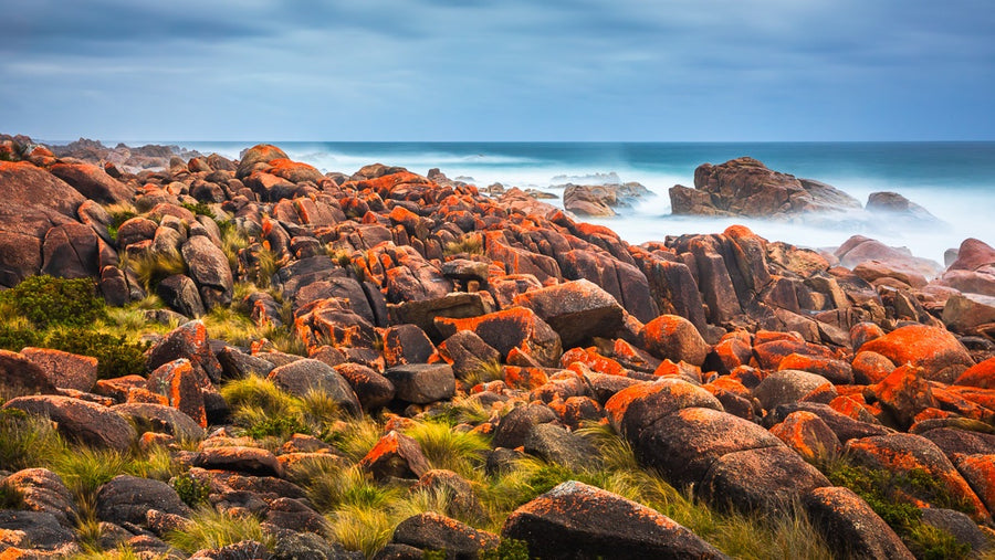 Tasmania seascape - 1