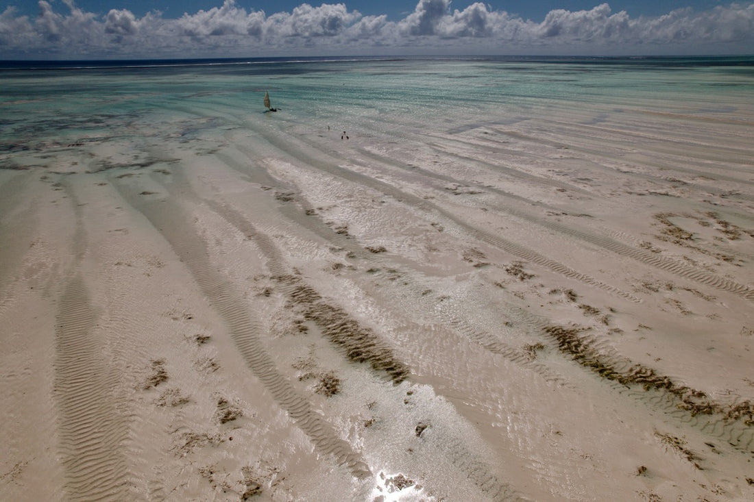 East coast, Zanzibar Island - 1