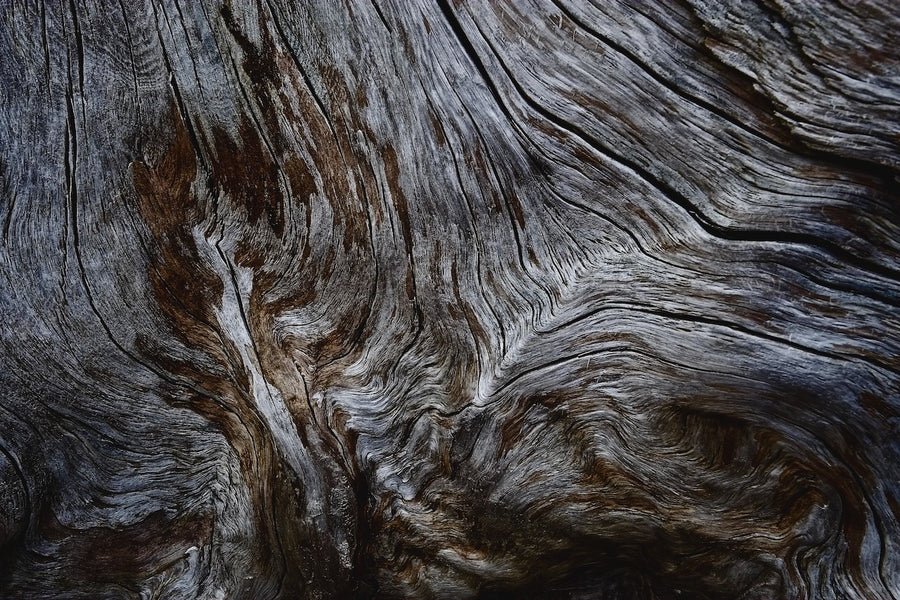 Bogwood patterns - 1