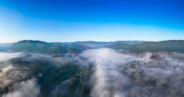 Above The Fog - 1