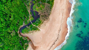 Campbells Beach Creek - 1