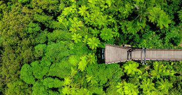 Sealy Lookout from above - 1