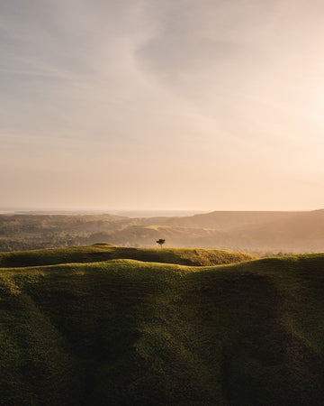 Lone Tree on a hill in Sumba Island, Indonesia - 1