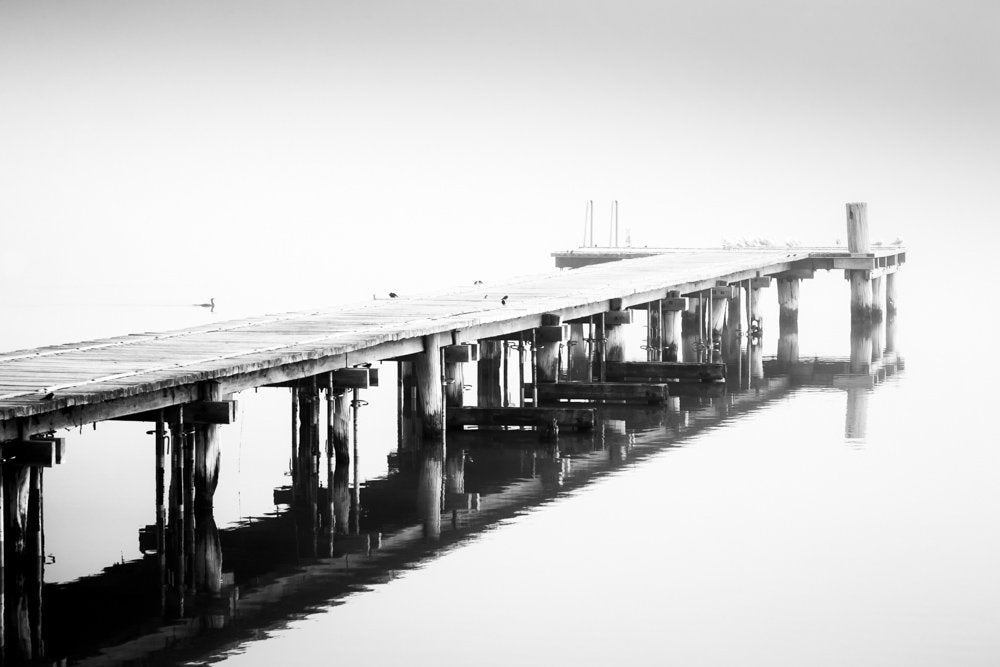 Lake Bonney Jetty in Fog - 1