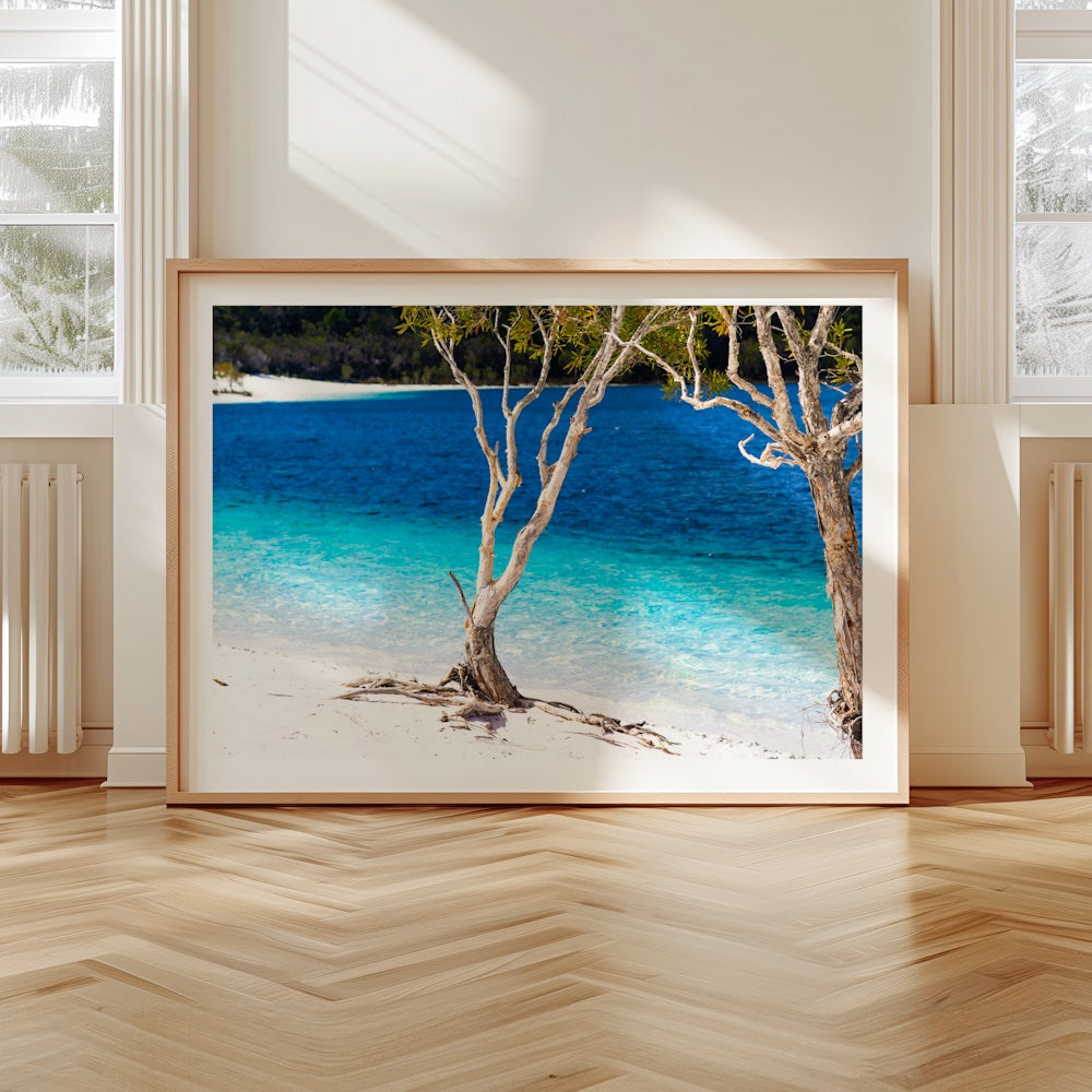 Lake McKenzie / Boorangoora - Fraser Island / K'gari, Queensland, Australia - 3