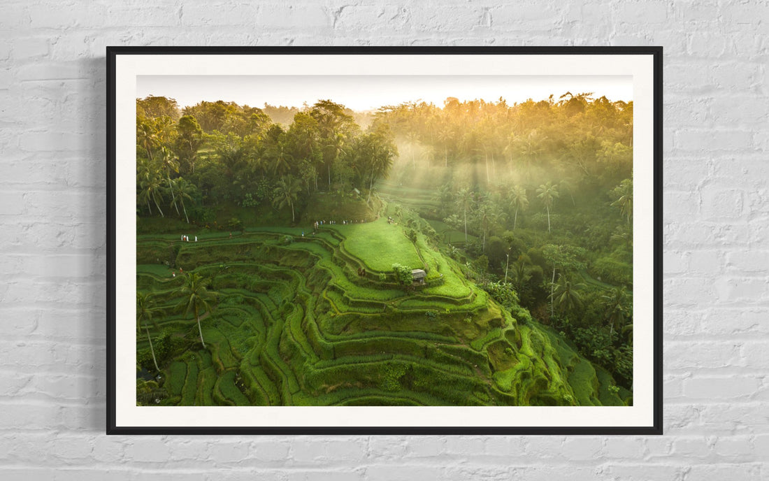 Tegalalang Rice Terrace, Ubud, Bali 4