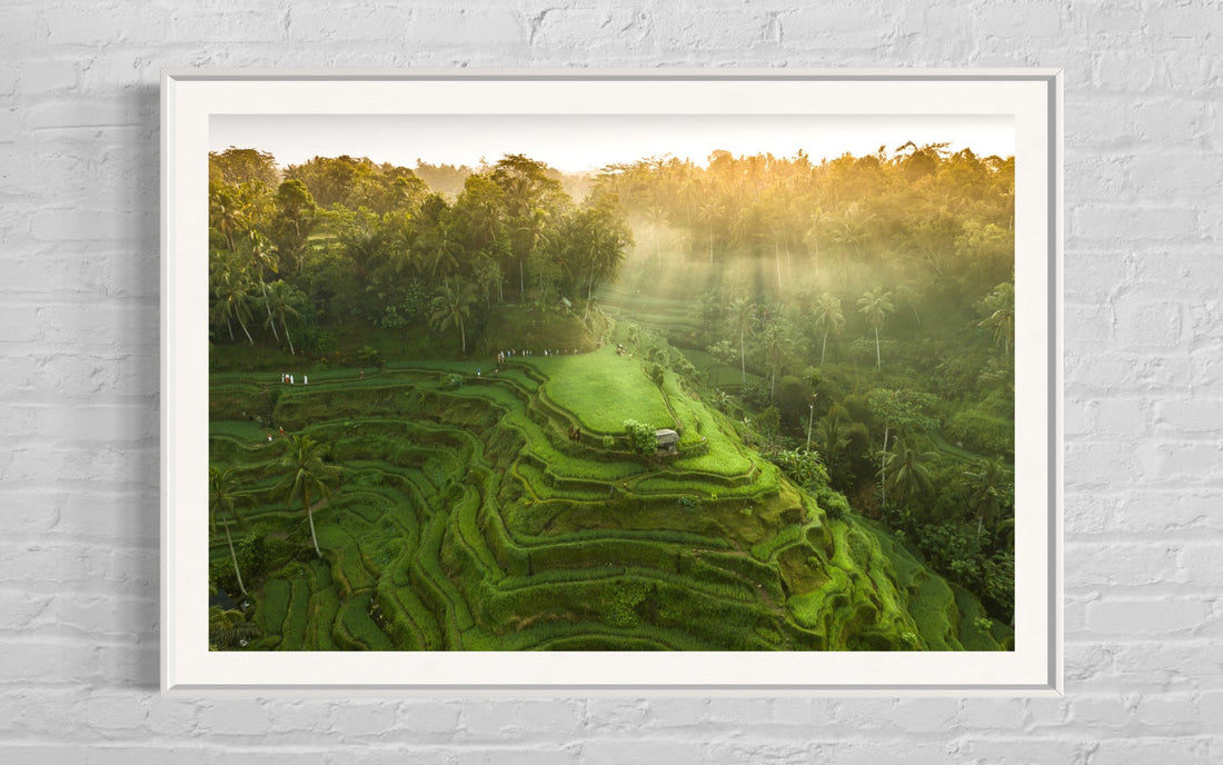Tegalalang Rice Terrace, Ubud, Bali 4