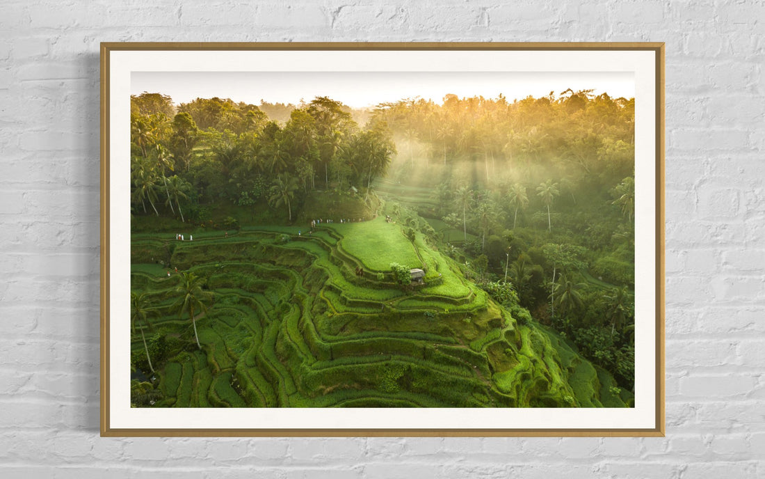 Tegalalang Rice Terrace, Ubud, Bali 4