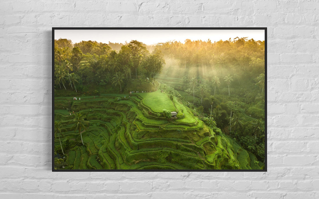 Tegalalang Rice Terrace, Ubud, Bali 4