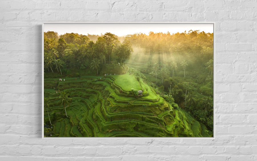 Tegalalang Rice Terrace, Ubud, Bali 4