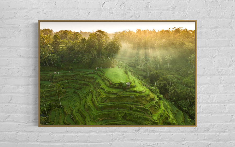 Tegalalang Rice Terrace, Ubud, Bali 4
