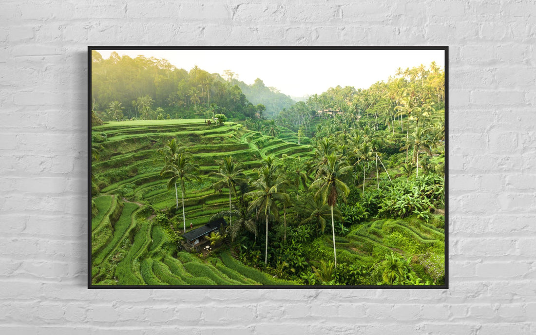 Tegalalang Rice Terrace, Ubud, Bali 3