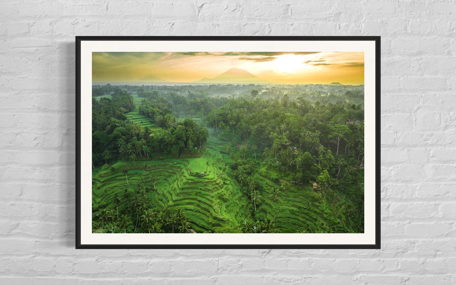 Tegalalang Rice Terrace, Ubud, Bali 8