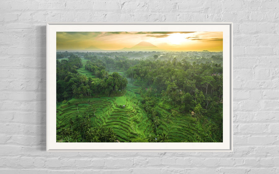 Tegalalang Rice Terrace, Ubud, Bali 8