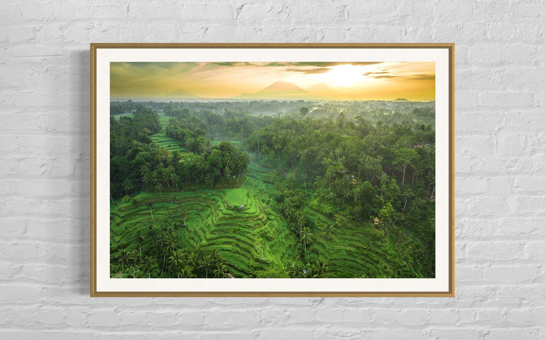 Tegalalang Rice Terrace, Ubud, Bali 8