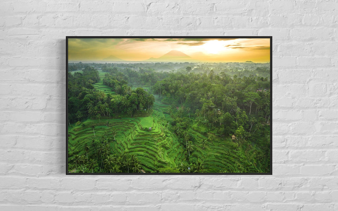 Tegalalang Rice Terrace, Ubud, Bali 8