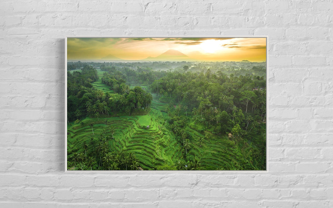 Tegalalang Rice Terrace, Ubud, Bali 8
