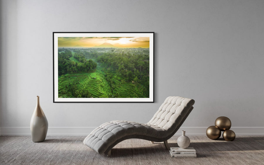Tegalalang Rice Terrace, Ubud, Bali 8