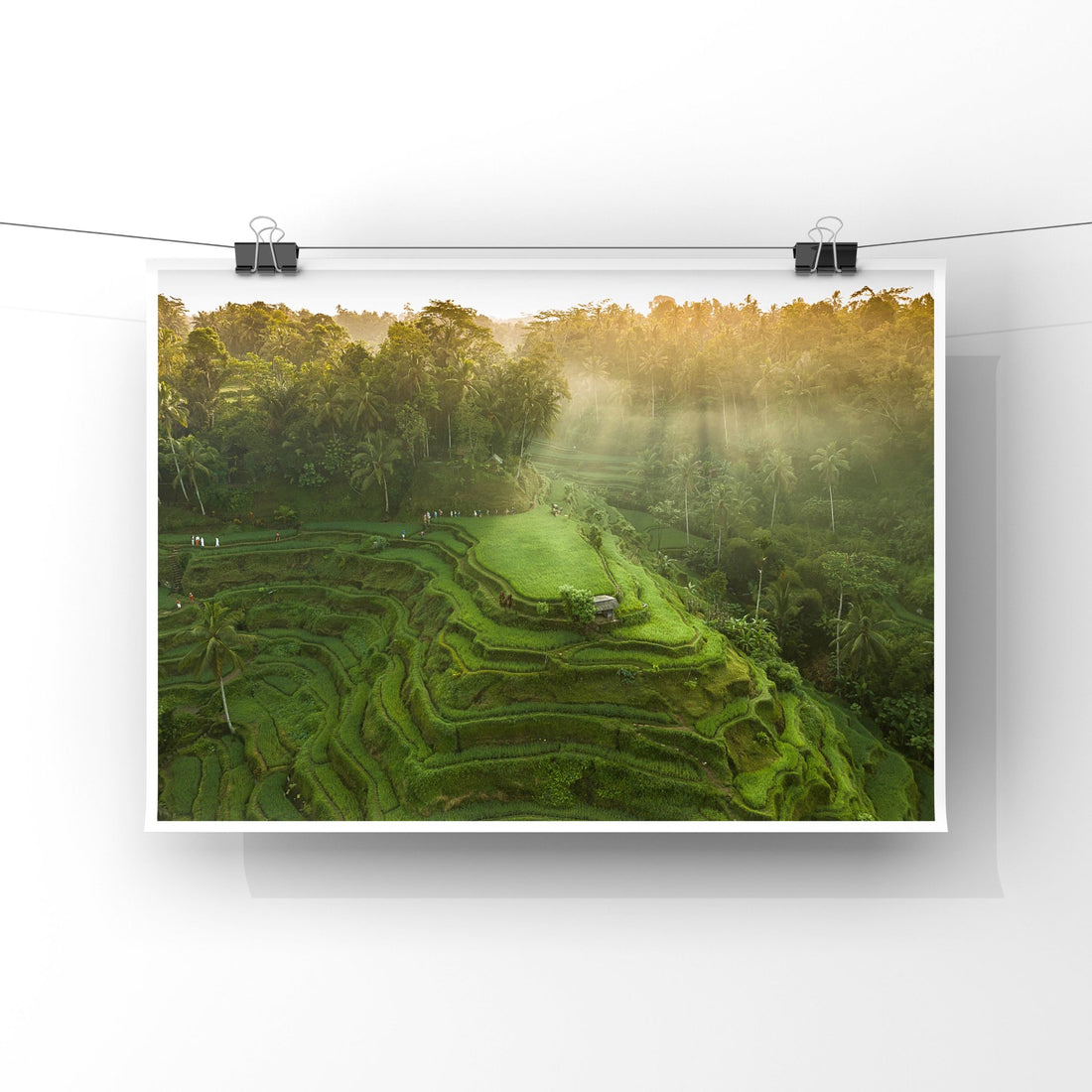 Tegalalang Rice Terrace, Ubud, Bali 4