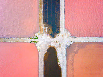 6616ab8ed8c3c268632d0a1d_adobestock-481934754_1748070521913.jpg