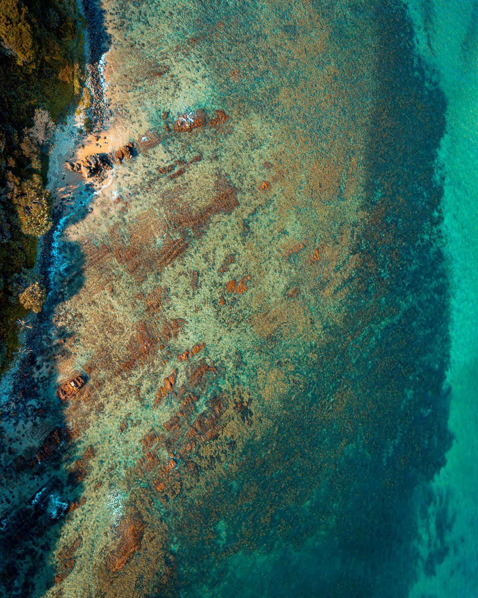 6616ab8ed8c3c268632d0a1d_arrawarra-reef-low_1753697719897.jpg