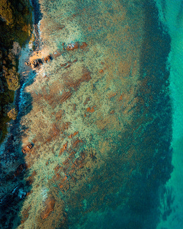 6616ab8ed8c3c268632d0a1d_arrawarra-reef-low_1753697719897.jpg