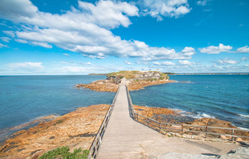 6616ab8ed8c3c268632d0a1d_bare-island_1753767855376.jpg