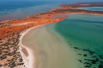 6616ab8ed8c3c268632d0a1d_big-lagoon-in-shark-bay-western-australia-landscape-_1755492035309.jpg