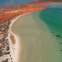 6616ab8ed8c3c268632d0a1d_big-lagoon-in-shark-bay-western-australia-portrait-_1755492035310.jpg