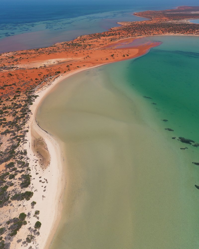 6616ab8ed8c3c268632d0a1d_big-lagoon-in-shark-bay-western-australia-portrait-_1755492035310.jpg