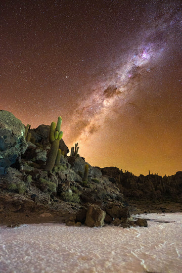 6616ab8ed8c3c268632d0a1d_cactus-island-on-salt-flat-under-milkyway_1751526637907.jpg